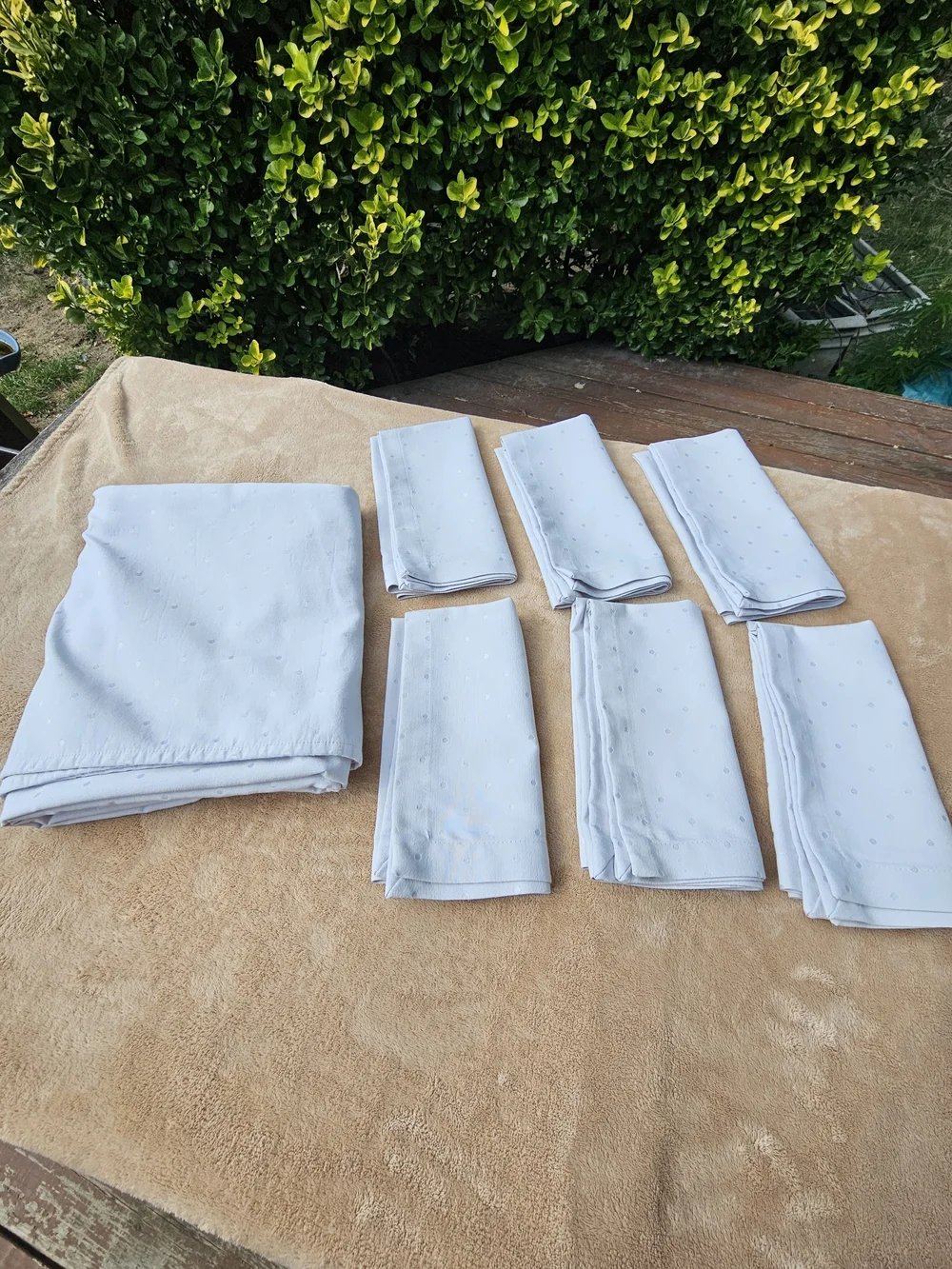 Kate Spade Tablecloth and Napkins (6) Classic Dot Pattern